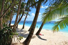 a beach with palm trees and people in the water