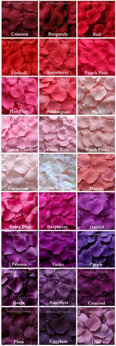 many different shades of pink and purple are shown in this image, with the names below them