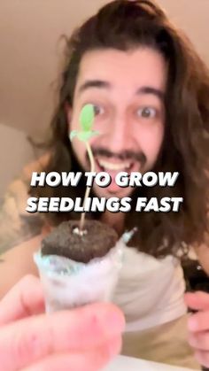 a man with long hair holding a cupcake in front of his face and the words how to grow seedlings fast