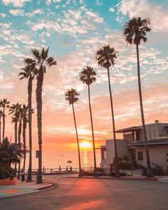 palm trees line the street as the sun sets in front of an oceanfront building