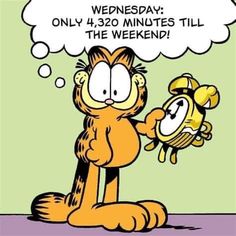 garfield the cat is holding a clock in his hand and saying, wednesday only 4 minutes till the weekend