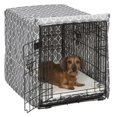 a brown dog laying in a black and white crate