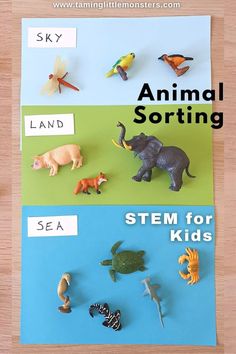 an animal sorting activity for kids to learn how to use the same sort of animals