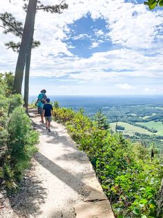 two people walking down a path on top of a hill next to trees and bushes