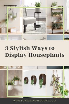 how to display houseplants Houseplants Aesthetic, Air Quality, Modern Interior Design, Modern Interior, Interior Design, Plants, Design, Nature