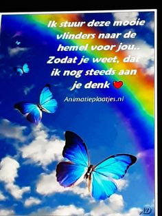 two blue butterflies flying in the sky with a rainbow behind them and a quote about love