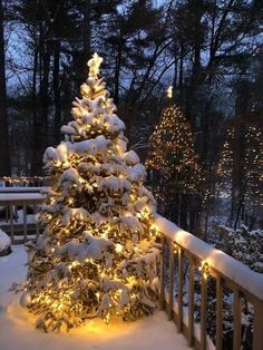 a lit christmas tree on a deck in the snow