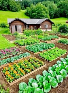 a garden with lots of different types of plants and vegetables in the middle of it