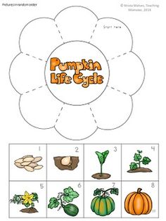 the pumpkin life cycle worksheet is shown with pictures and instructions to make it