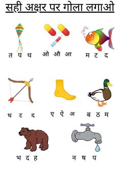 an image of different types of animals and things in the english language, with some words written