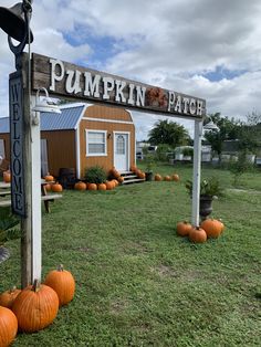 pumpkins are sitting in the grass near a sign that says pumpkin patch