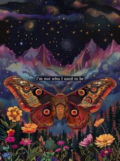 a painting of a butterfly with the words i'm not who i used to be