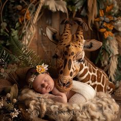 a newborn giraffe laying on top of a pile of fur next to a baby