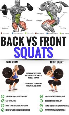 the back and front squats chart shows how to use each type of barbell