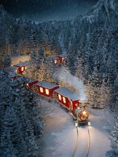 an aerial view of a train traveling through the woods at night with lights on it