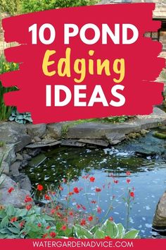 Backyard pond edging ideas Pond Edging Ideas, Pond Edging, Ponds Backyard Waterfall, Koi Pond Backyard, Small Fish Pond