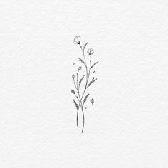 a drawing of some flowers on a white paper