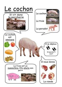 an animal that is labeled in french and has pictures of animals on the side of it