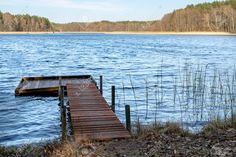 a wooden dock sitting on top of a lake next to tall grass and trees in the background