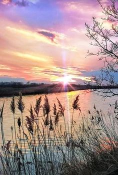 the sun is setting over a body of water with tall grass in front of it