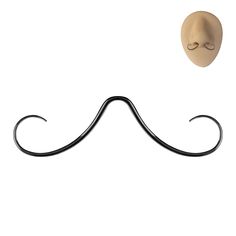 a fake moustache is hanging on the wall next to an object with eyes