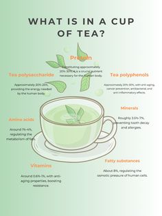 what is in a cup of tea? infographical poster with description and pictures