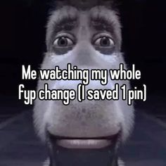 a monkey with the caption me watching my whole fp change i saved 1 pin