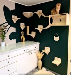 a cat sitting on top of a shelf in a room with green walls and white cabinets