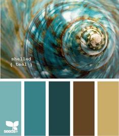 the color scheme is blue, brown and white with an image of a spiral design