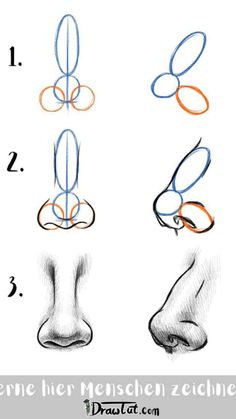 the steps to draw a nose with colored pencils