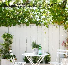 two white chairs sitting at a table in the middle of a yard with plants growing on it