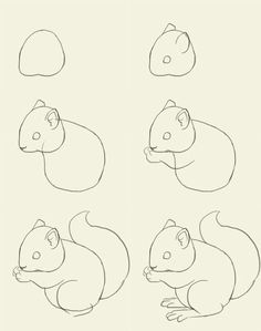 the steps to draw a cartoon mouse with different poses and expressions, including one sitting on its