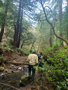 two people crossing a creek in the woods