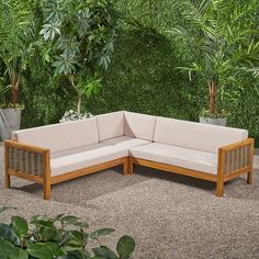 a wooden couch sitting on top of a carpet covered floor next to trees and plants