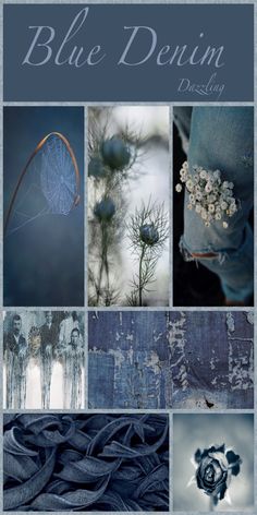 blue denim collage with white flowers and leaves on the bottom right corner is an image of