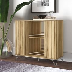 a wooden cabinet sitting on top of a rug next to a vase with a plant in it