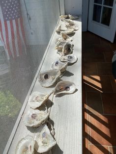 several oysters are lined up on a long table outside the house, with an american flag in the background