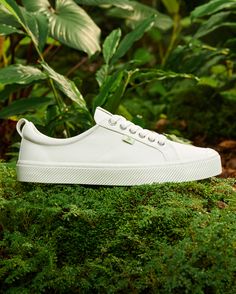 CARIUMA : Women's Low Top Off-White Canvas Sneaker | The OCA Low Canvas Sneakers Womens, Florida Style, Toes Designs, Green Sneakers, Vintage Suede, Sneaker Men, Comfortable Sneakers, Green Suede, Suede Sneakers