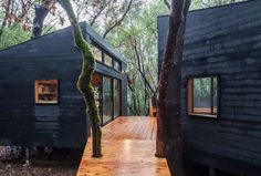 two black cabins in the woods with wood flooring and wooden walkway leading up to them