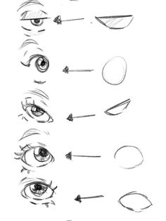 an image of different types of eyes with arrows pointing up to the left and right