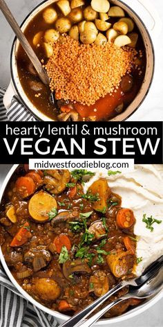 healthy lentil and mushroom vegan stew