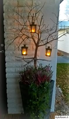 a tree with four lanterns hanging from it's branches next to a potted plant