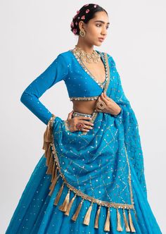 Intricately hand embroidered heavy dupatta with zari jhallar detailing clubbed with a v neck blouse and a silk organza lehenga. Vani Vats, Heavy Dupatta, Fusion Wear, Lehenga Dupatta, Outfits Indian, Lehenga Fabric, Organza Lehenga, Organza Blouse, Draping Fashion