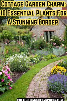 the cottage garden charm 10 essential plants for a stunning border