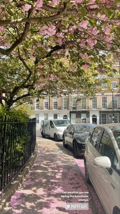 cars parked on the side of a street next to trees with pink flowers in bloom