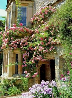 an old building with flowers growing on it