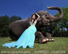 a woman in a long blue dress sitting on the ground next to an elephant with its trunk up