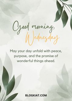 a card saying good morning wednesday with green leaves on the side and an image of a plant