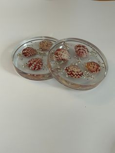 two glass plates with shells on them sitting on a white counter top next to a cup