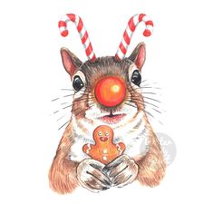 a drawing of a squirrel with candy canes on it's nose holding a gingerbread